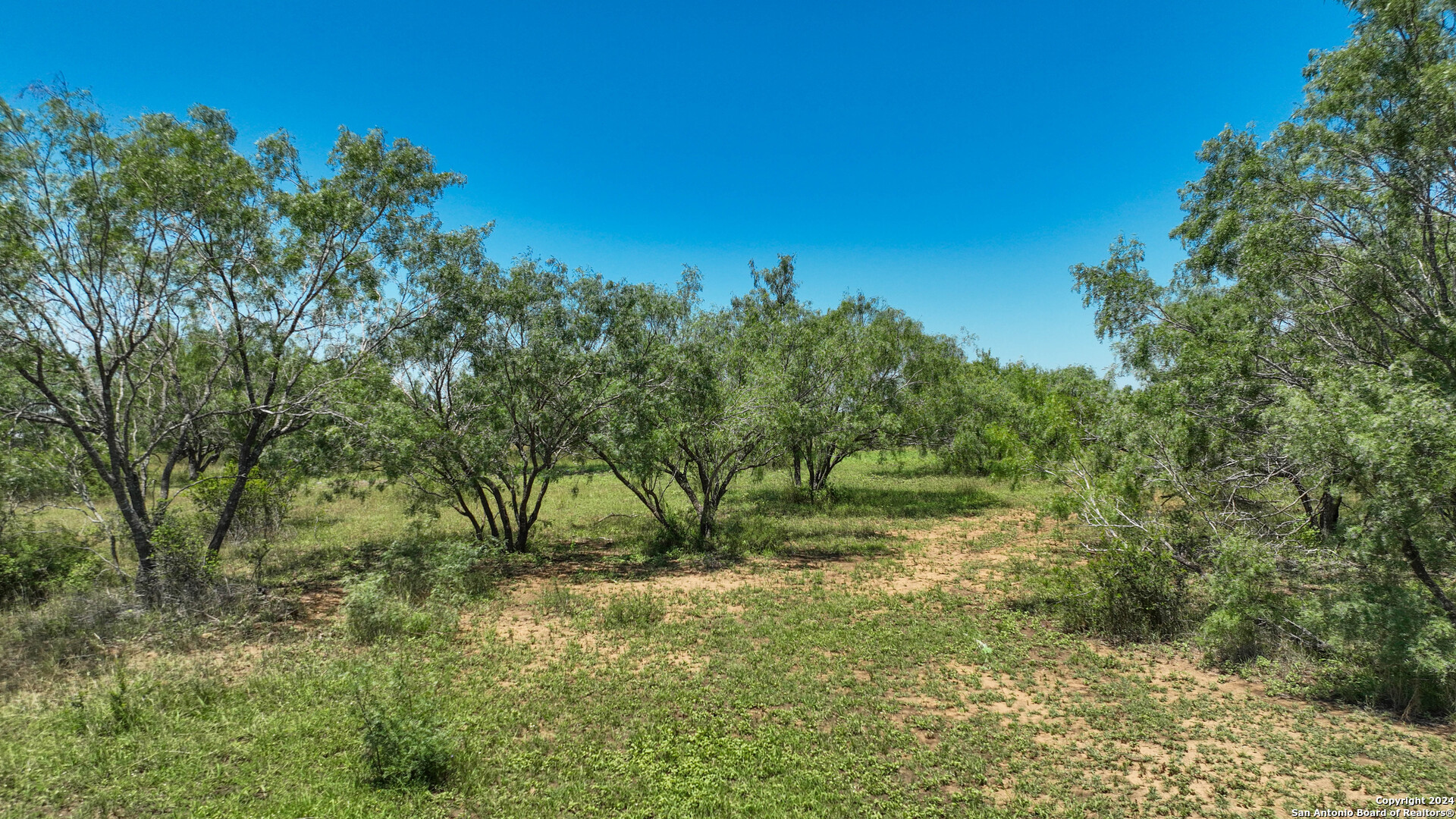 a view of a yard