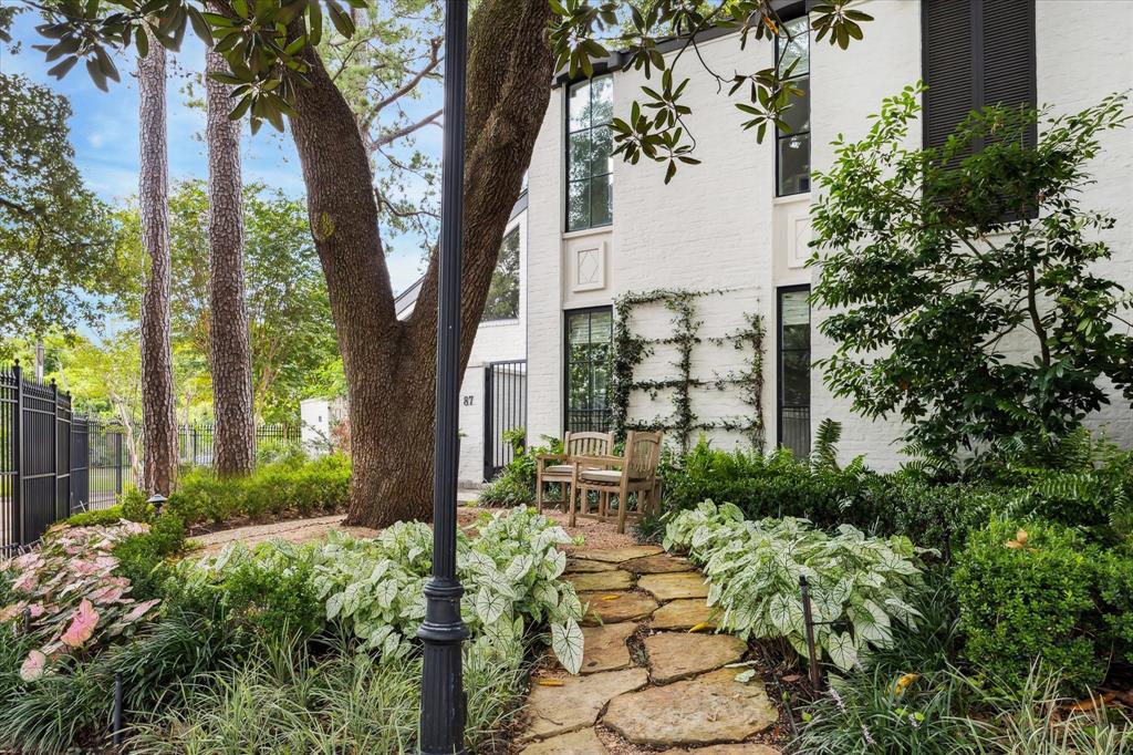 a view of a garden with plants