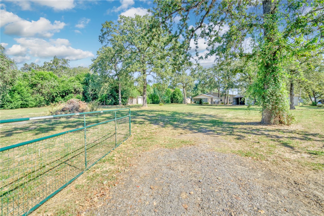 a view of a yard with an outdoor space