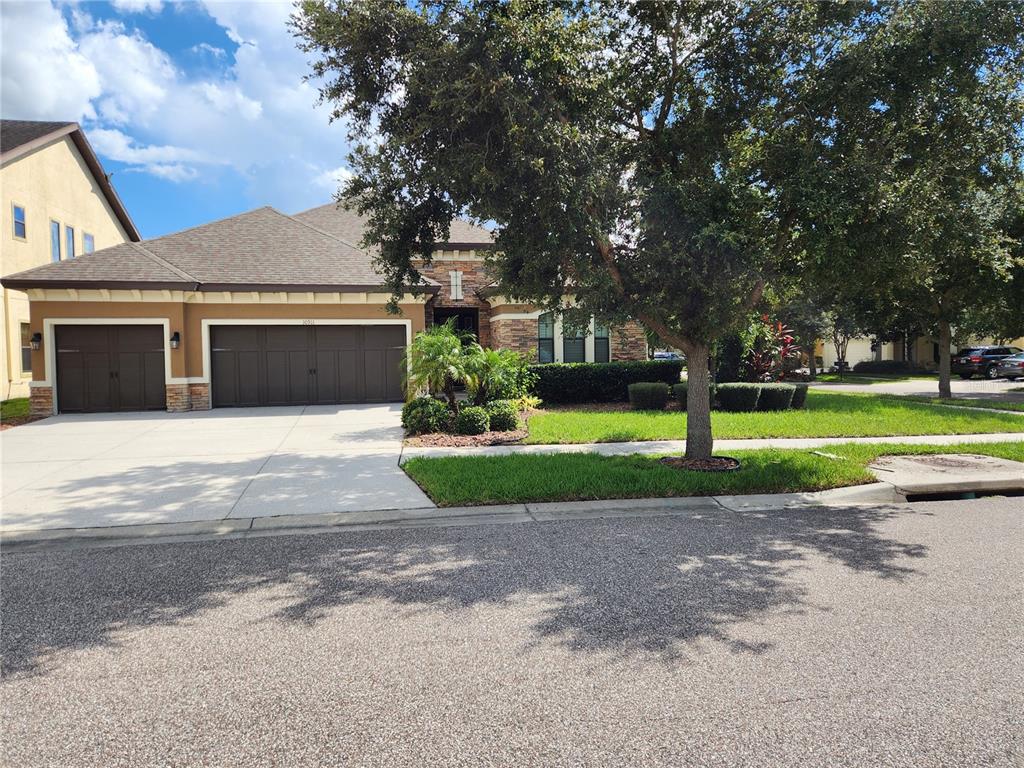 a view of a house with a yard