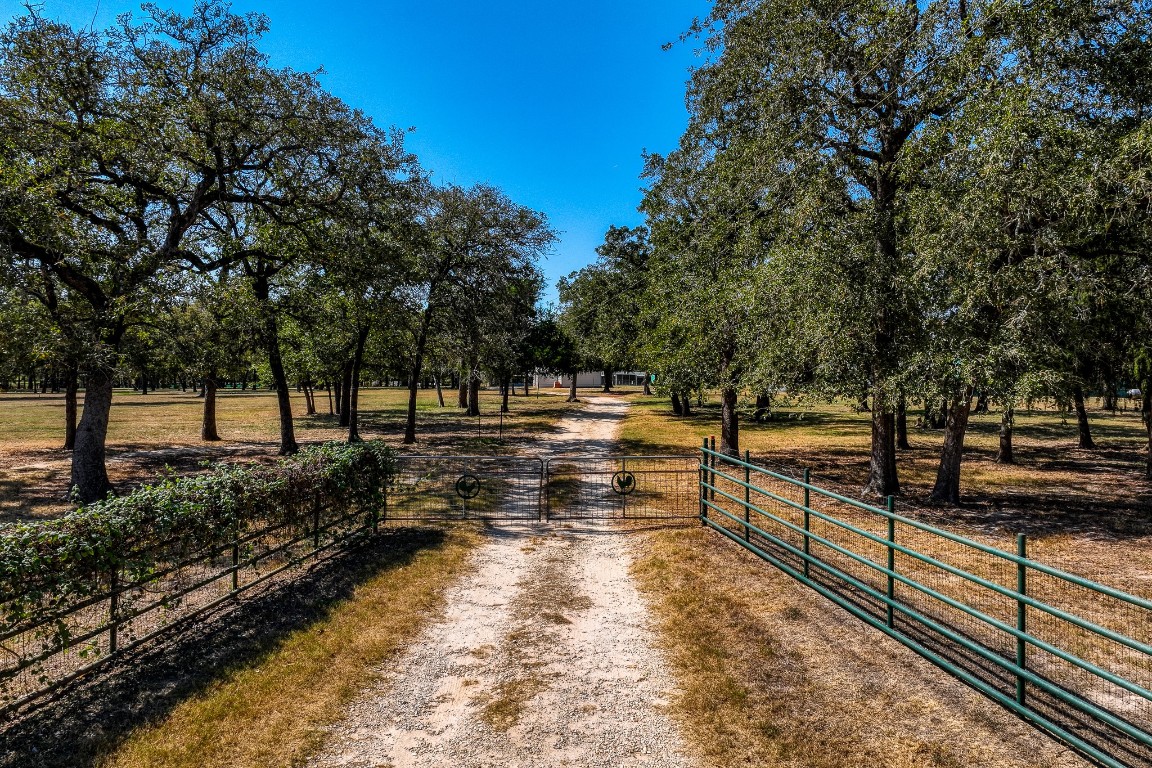 a view of park with trees