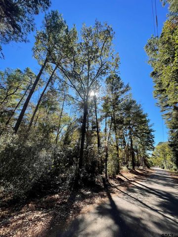 $9,000 | Tbd Autumn Wood Trail | Holly Lake Ranch