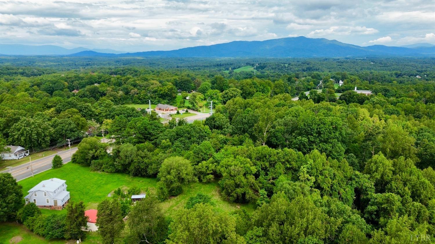 a view of a bunch of trees and a mountain