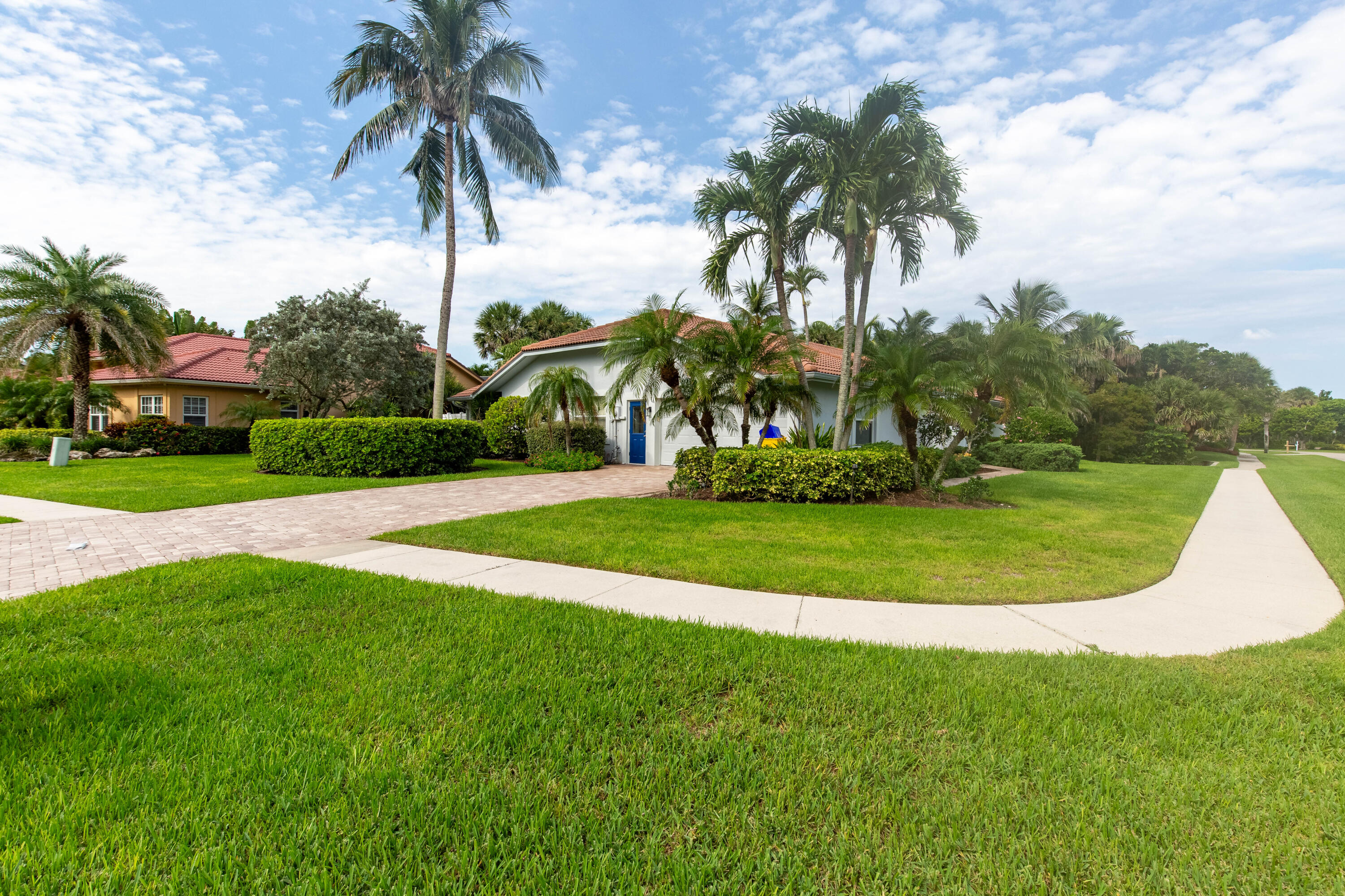 a view of a park with palm trees