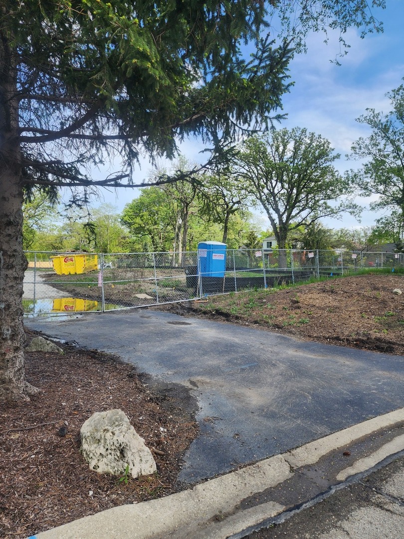 a view of a yard with a tree