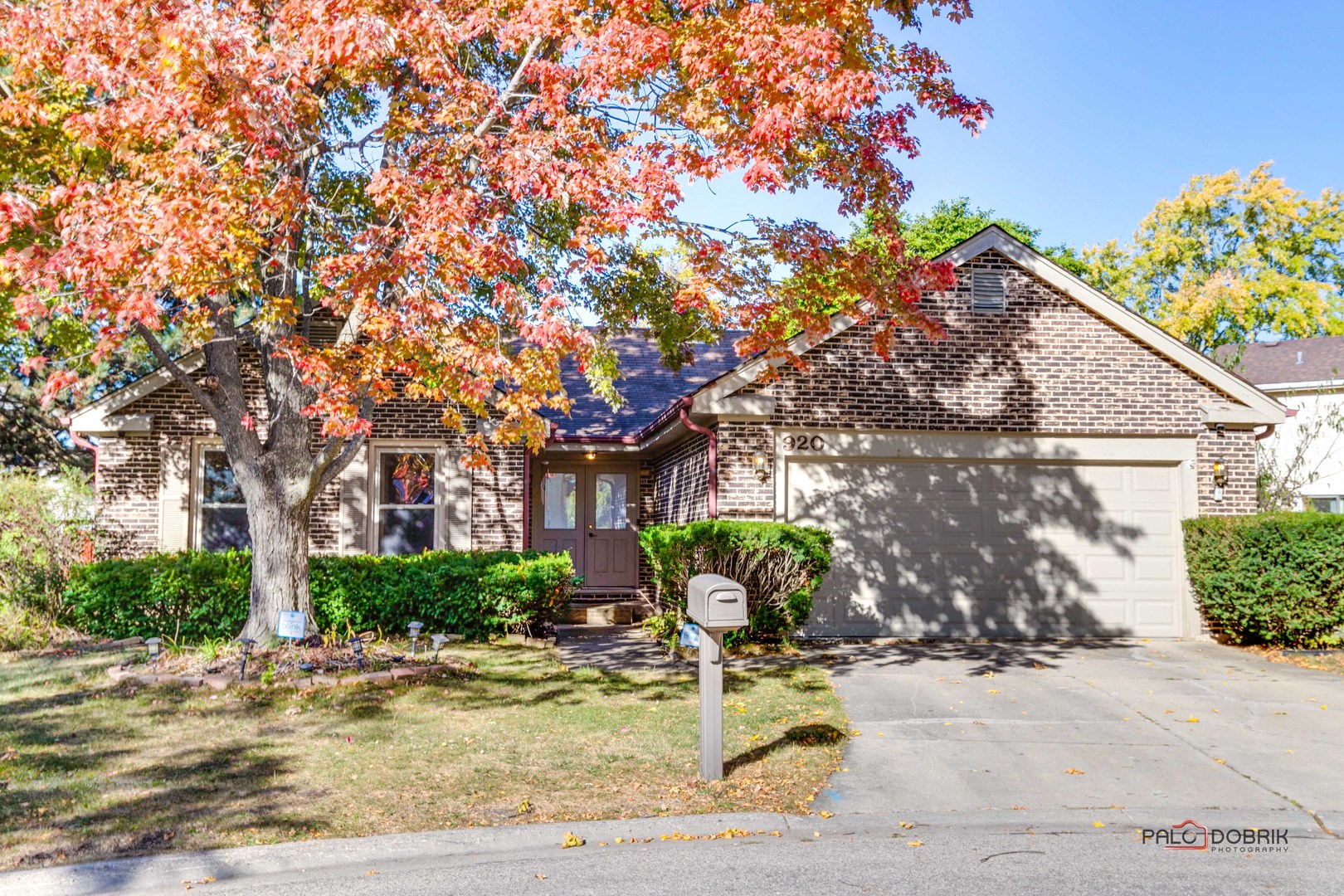 a view of a house with a tree and flower plants