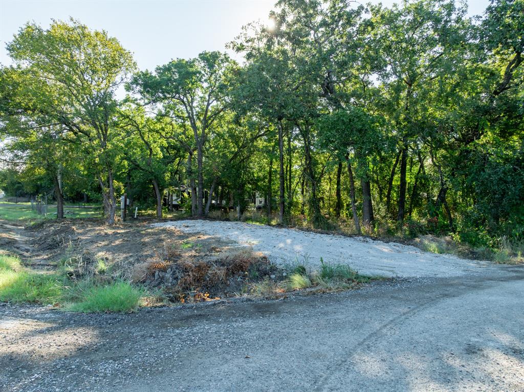 a view of a yard with large trees