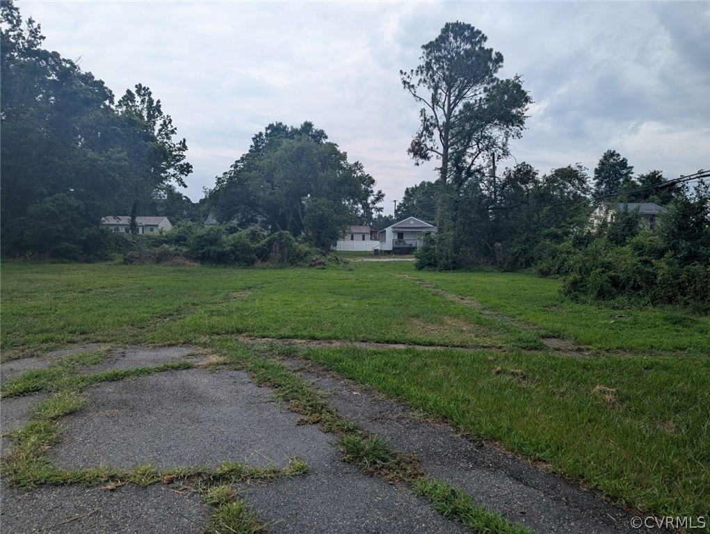 a view of a park with large trees