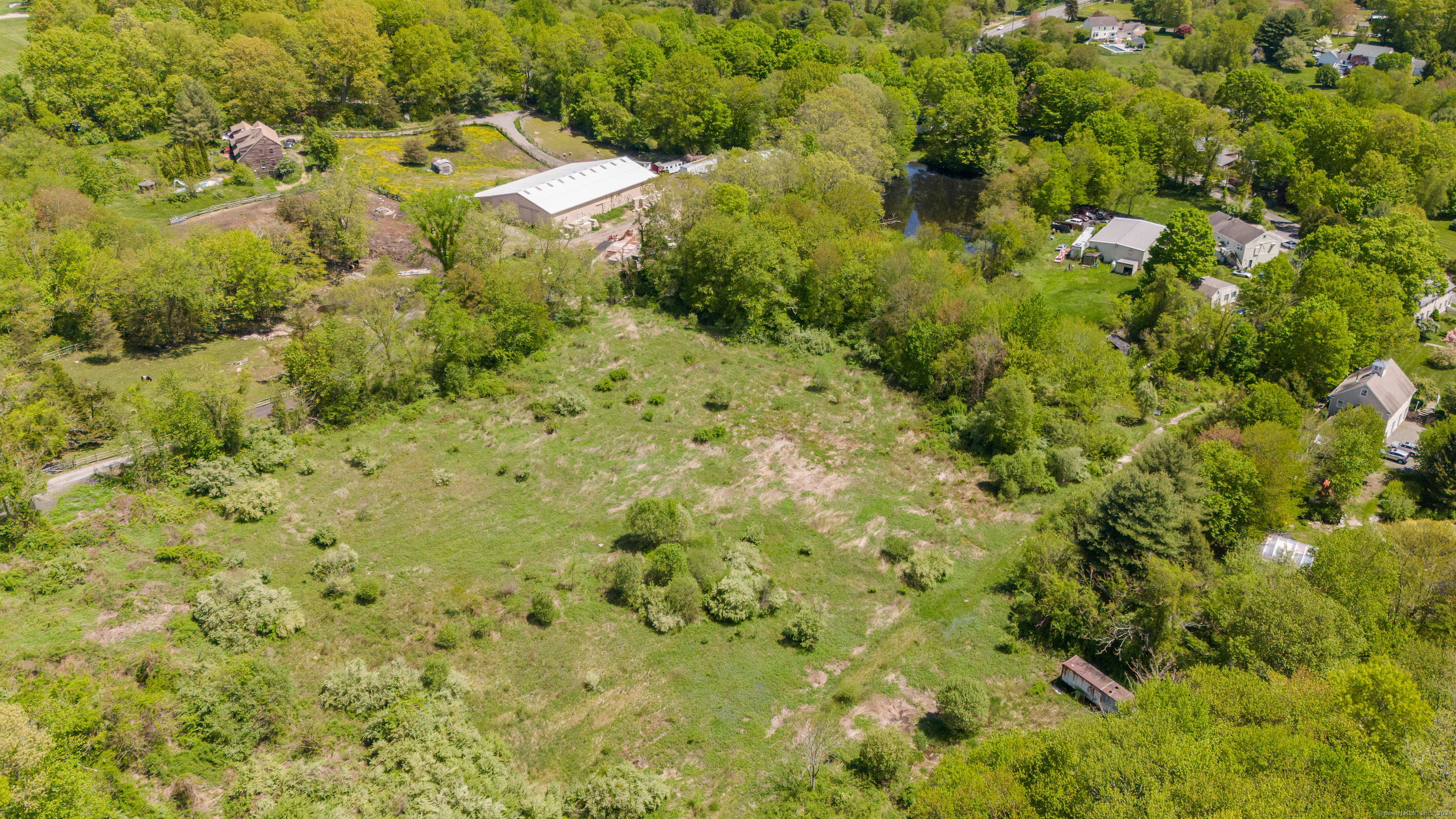 a view of a big yard with plants and large trees