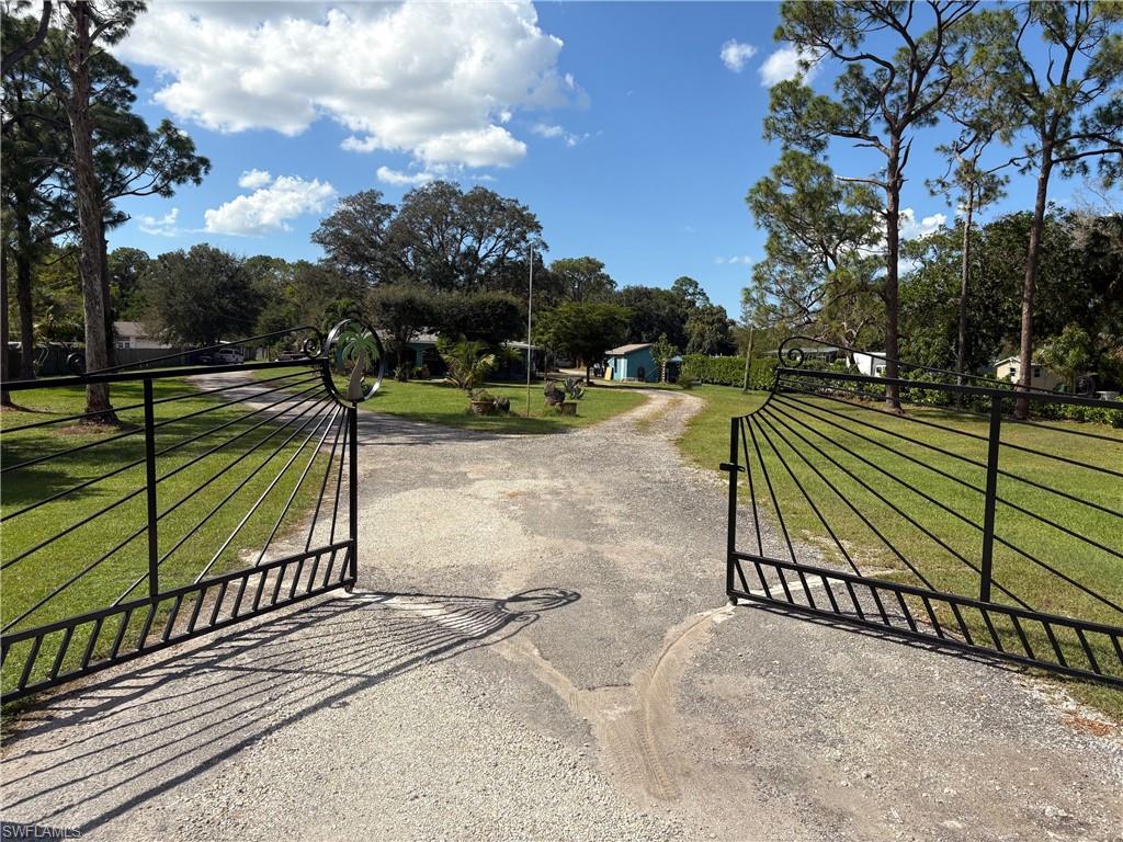 a view of a backyard