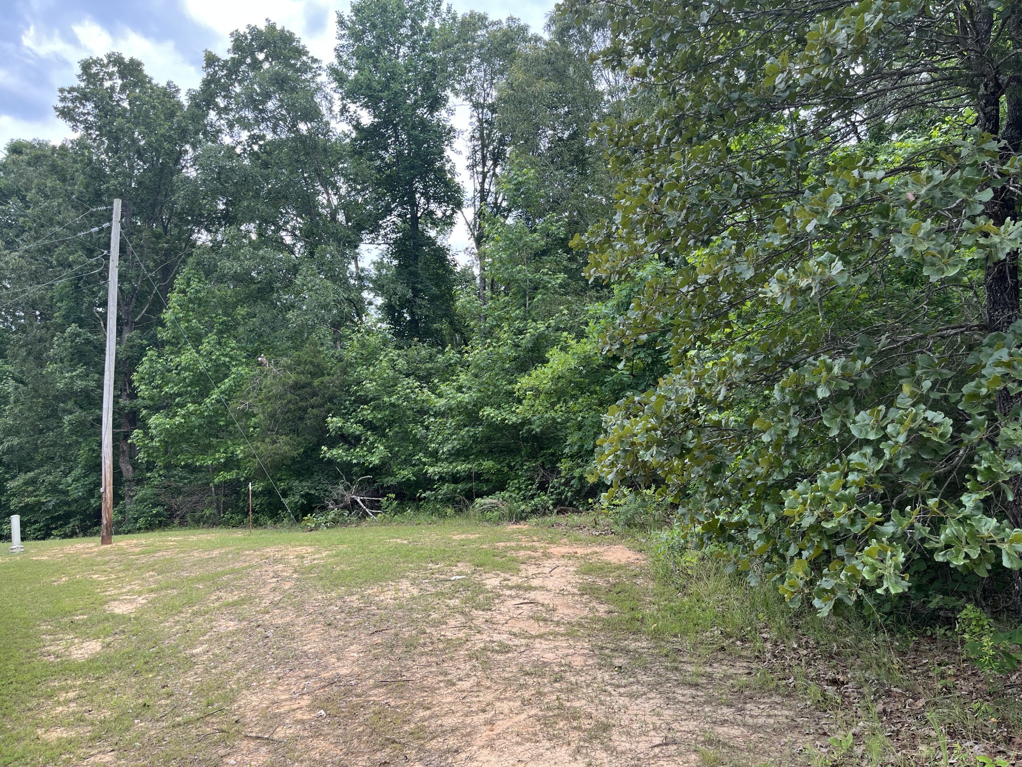 a view of a yard with a tree