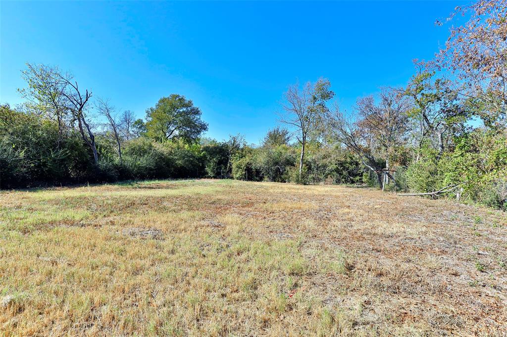 a view of a yard with an trees