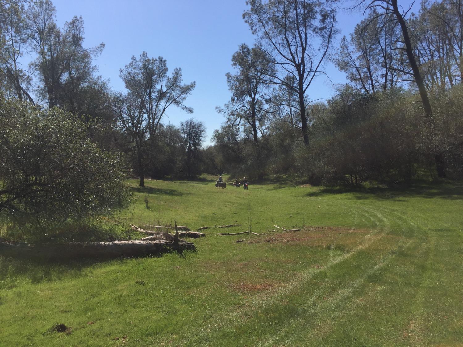 a view of a golf course with a yard