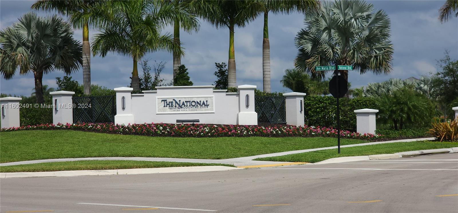 a view of a park with palm trees