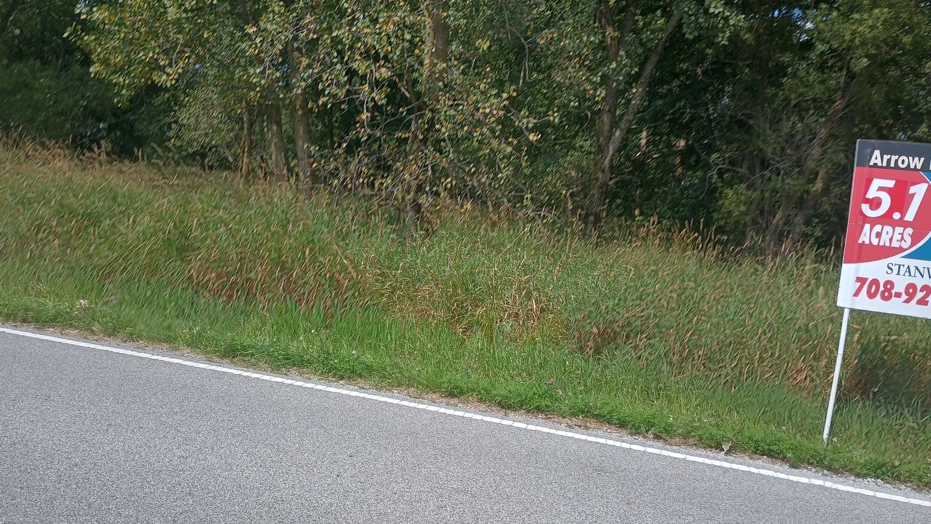 a view of a field with bushes