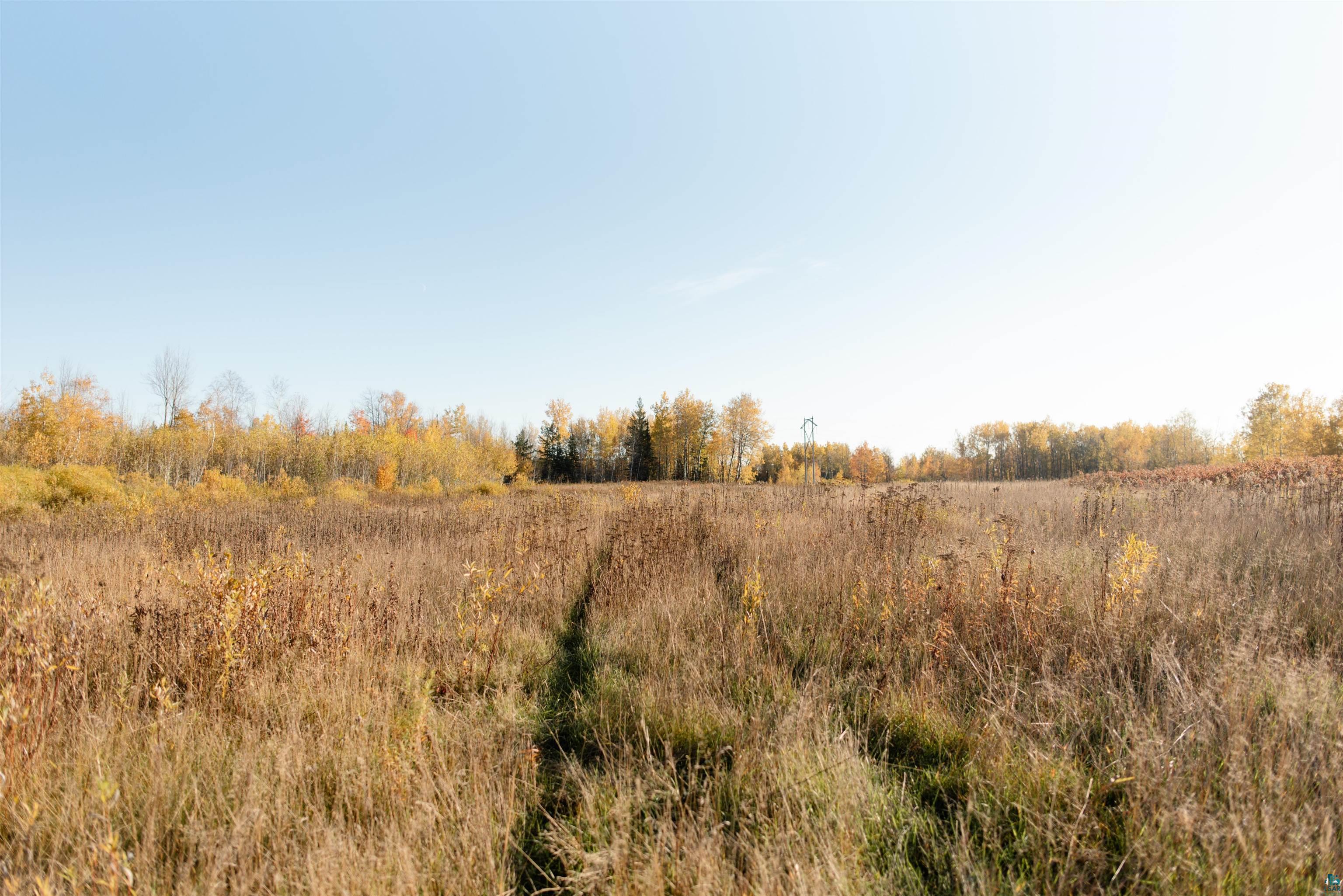 View of local wilderness with a rural view