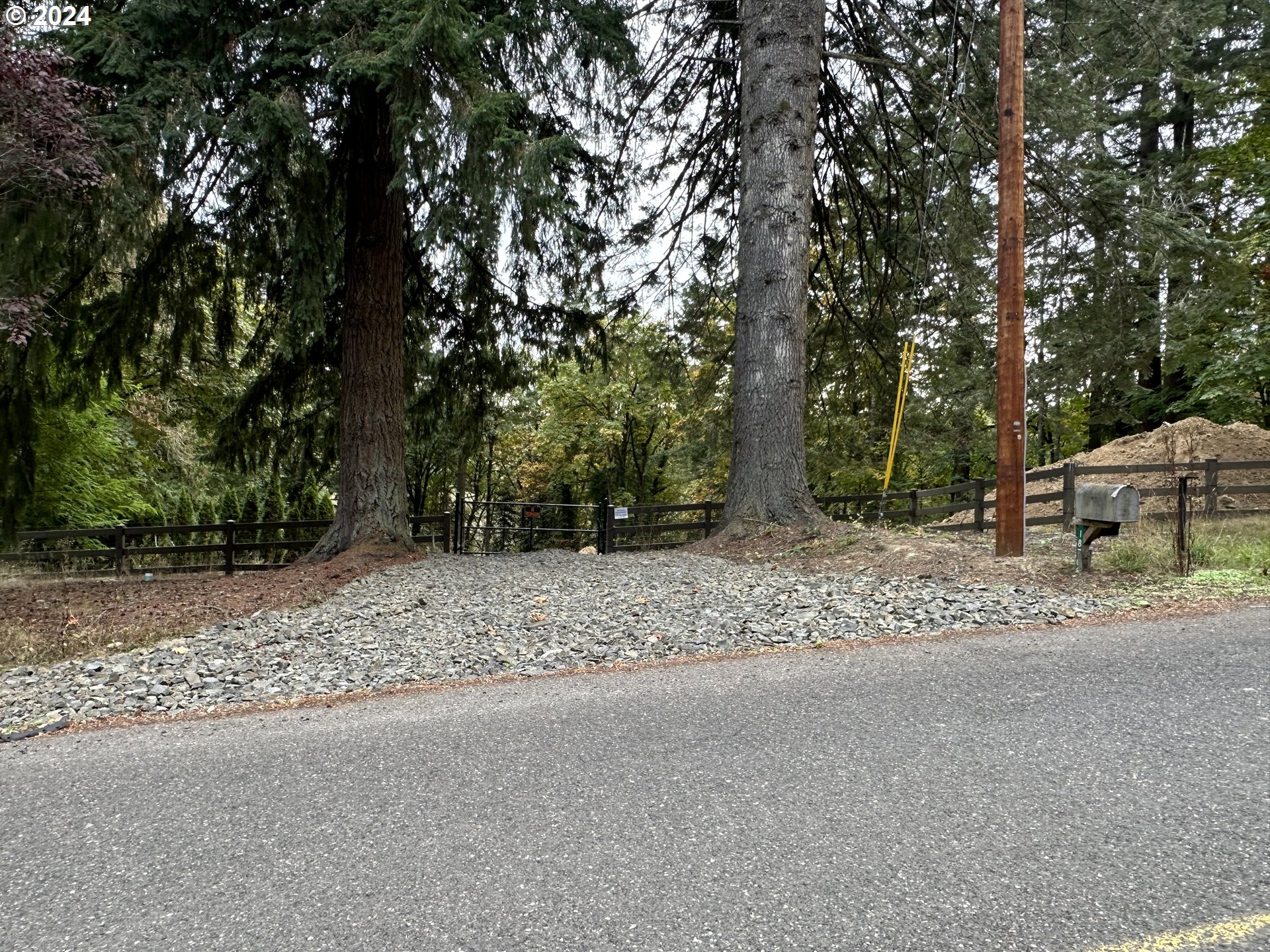 a view of a yard with large trees