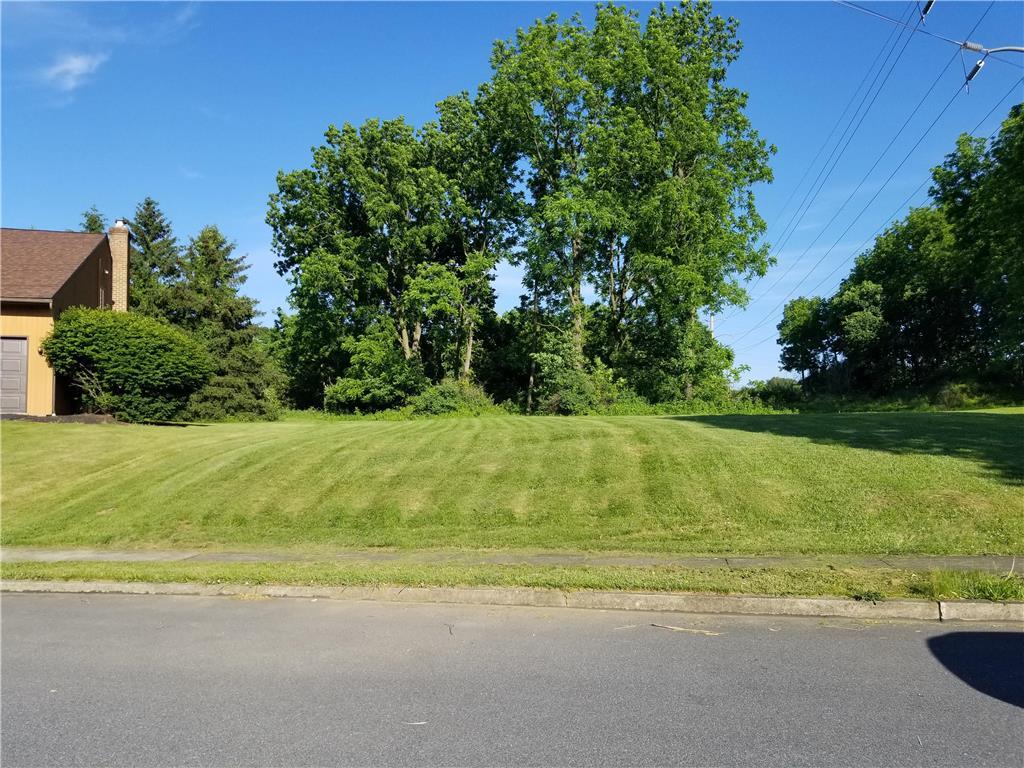 a view of a yard with a plants and trees