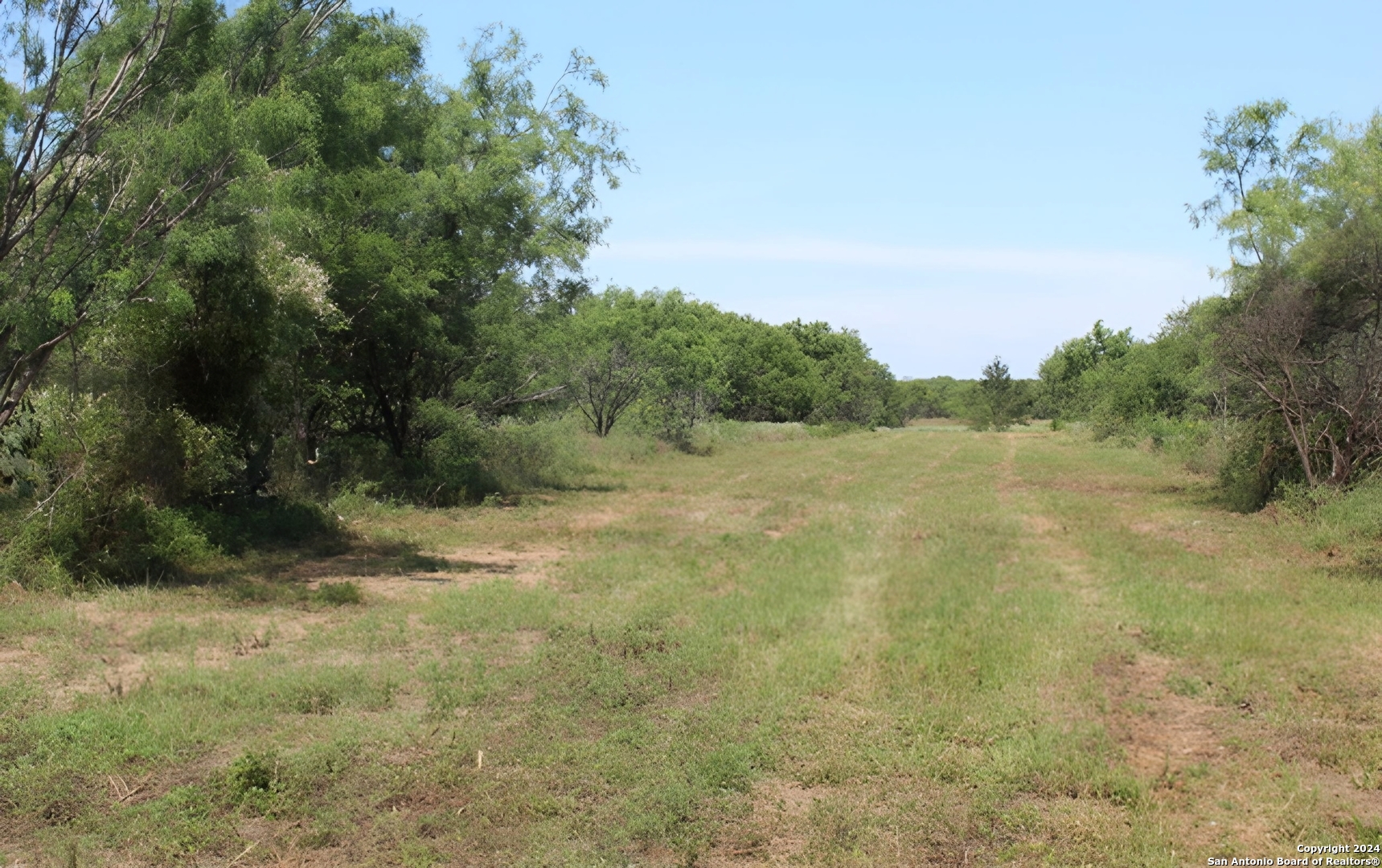 a view of a field with trees in the background