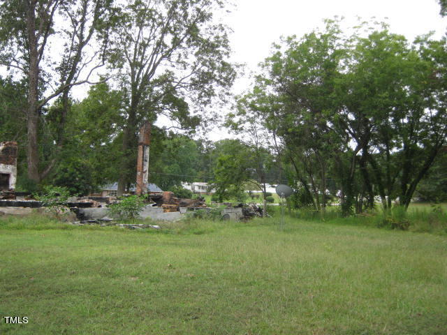 a view of a park with large trees