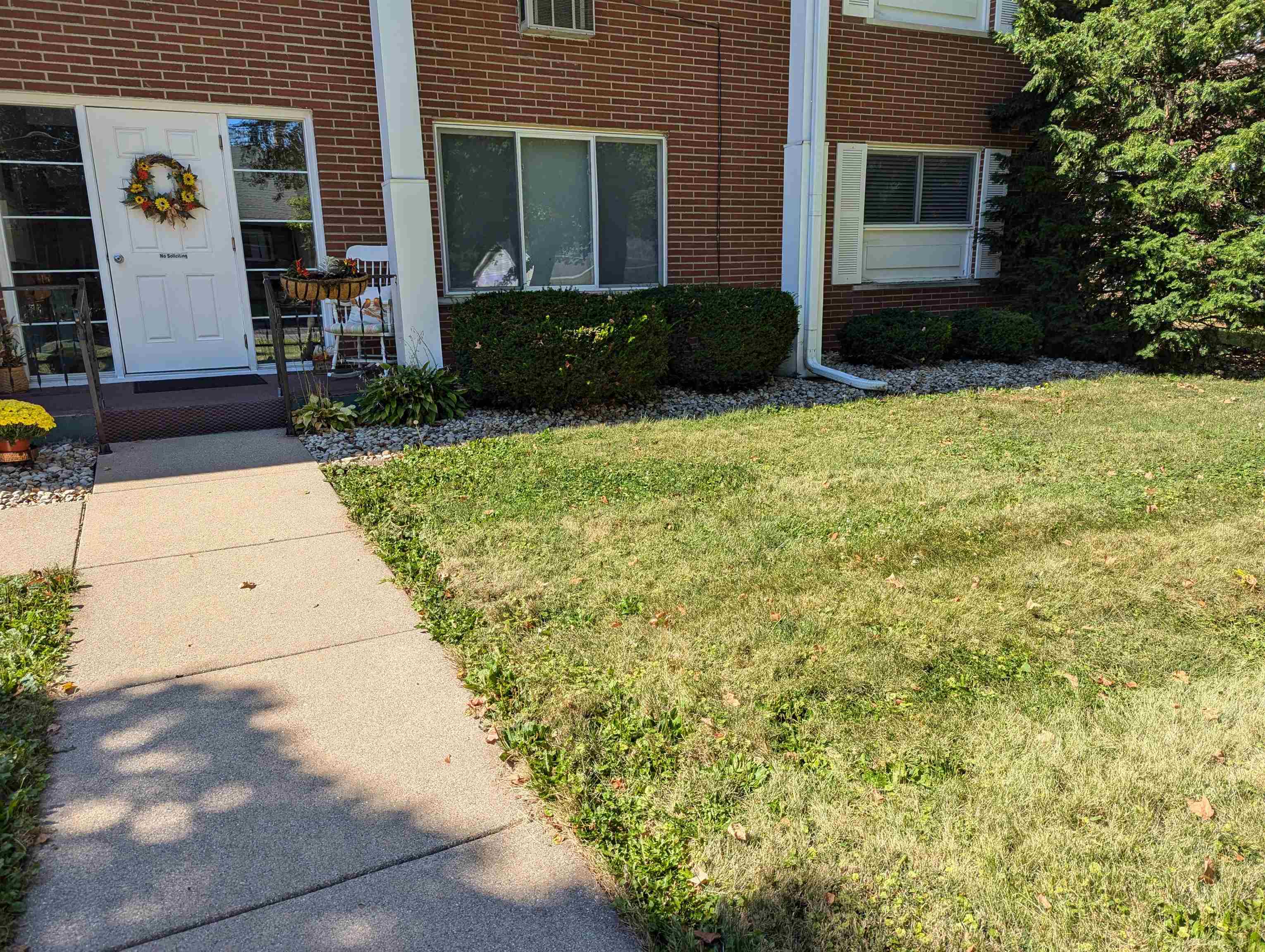 a view of backyard with seating space