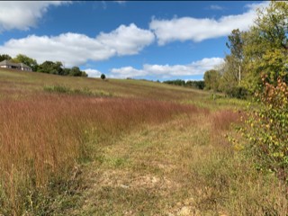 a view of a lake from a yard