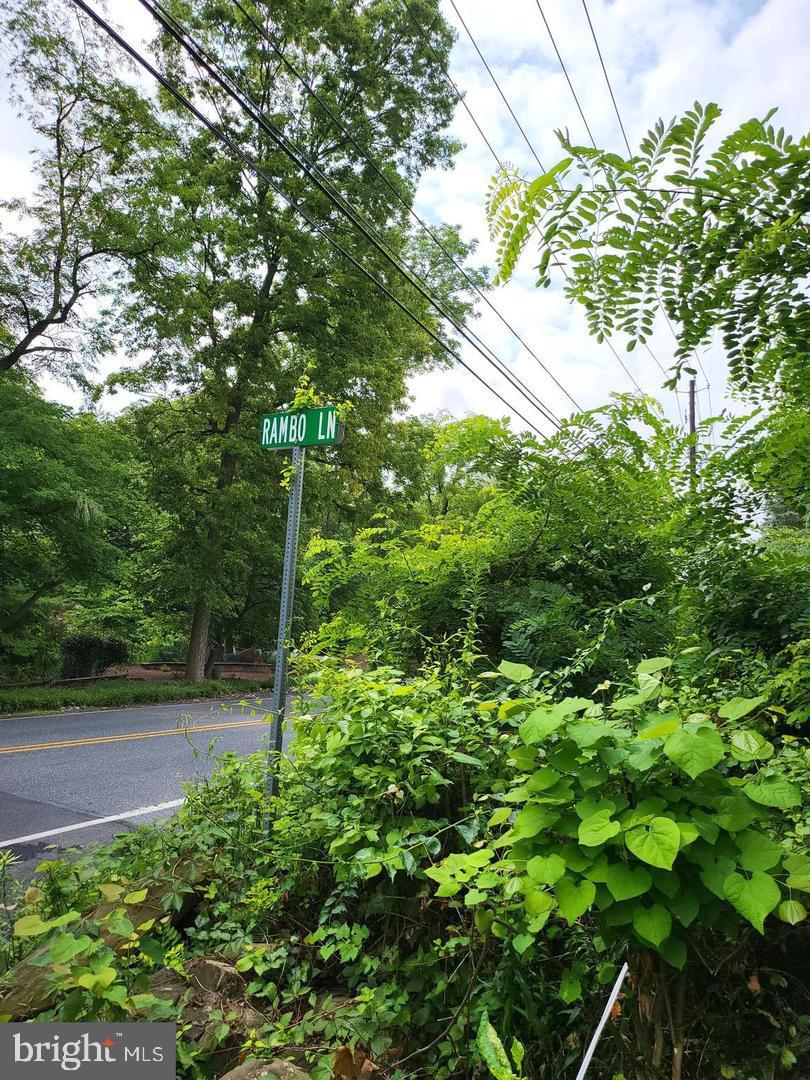 a view of yard with green space