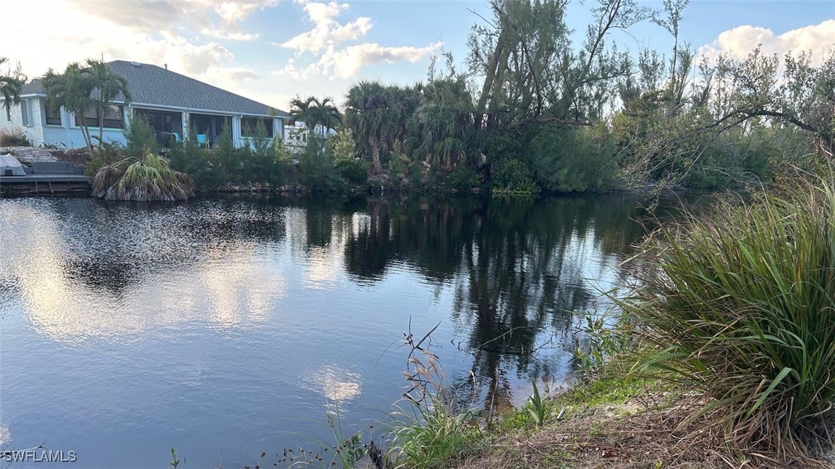 a view of a lake view with a garden