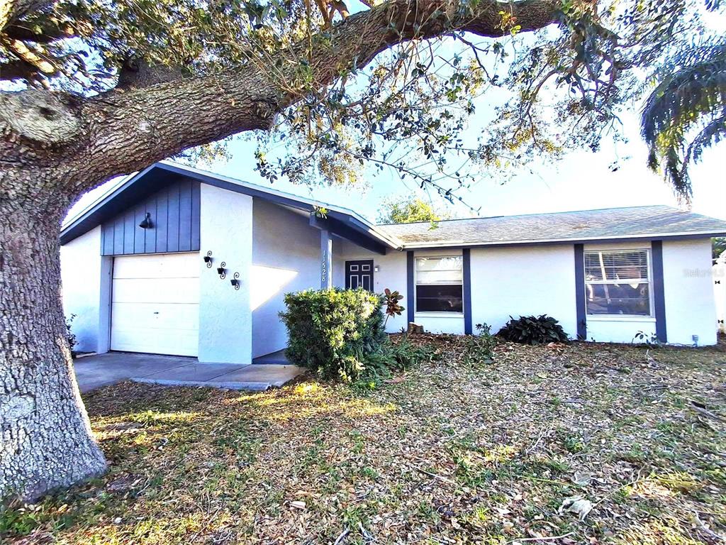 a view of a house with a yard and large tree