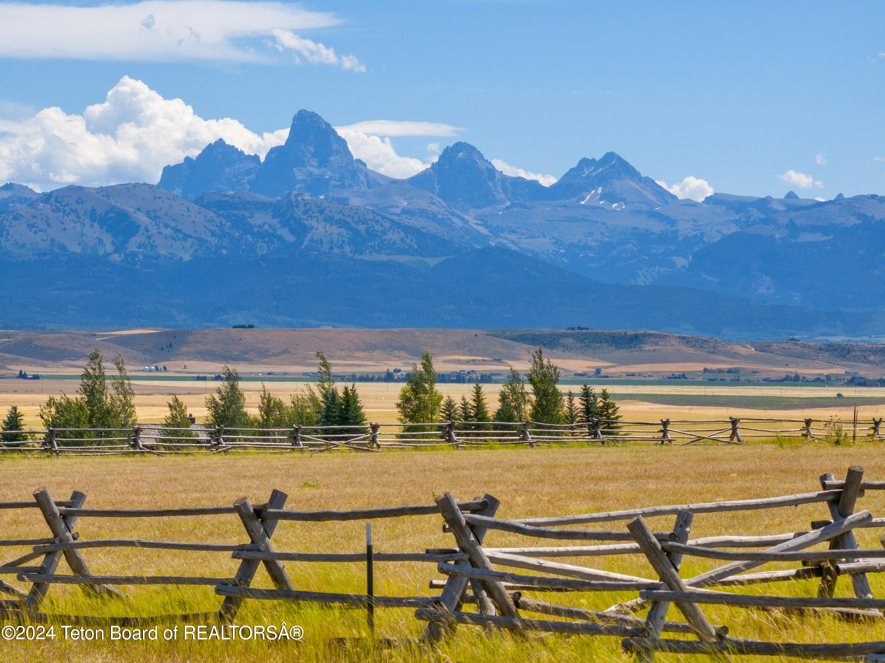 Grand Teton View