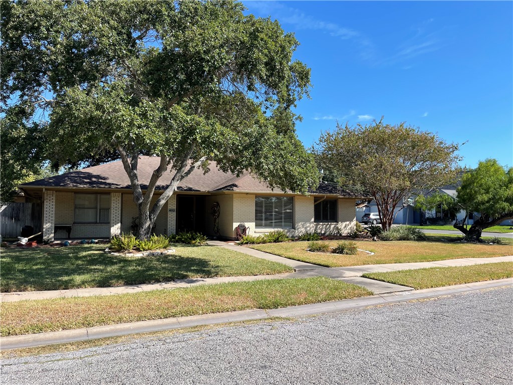 a house that has a tree in front of it