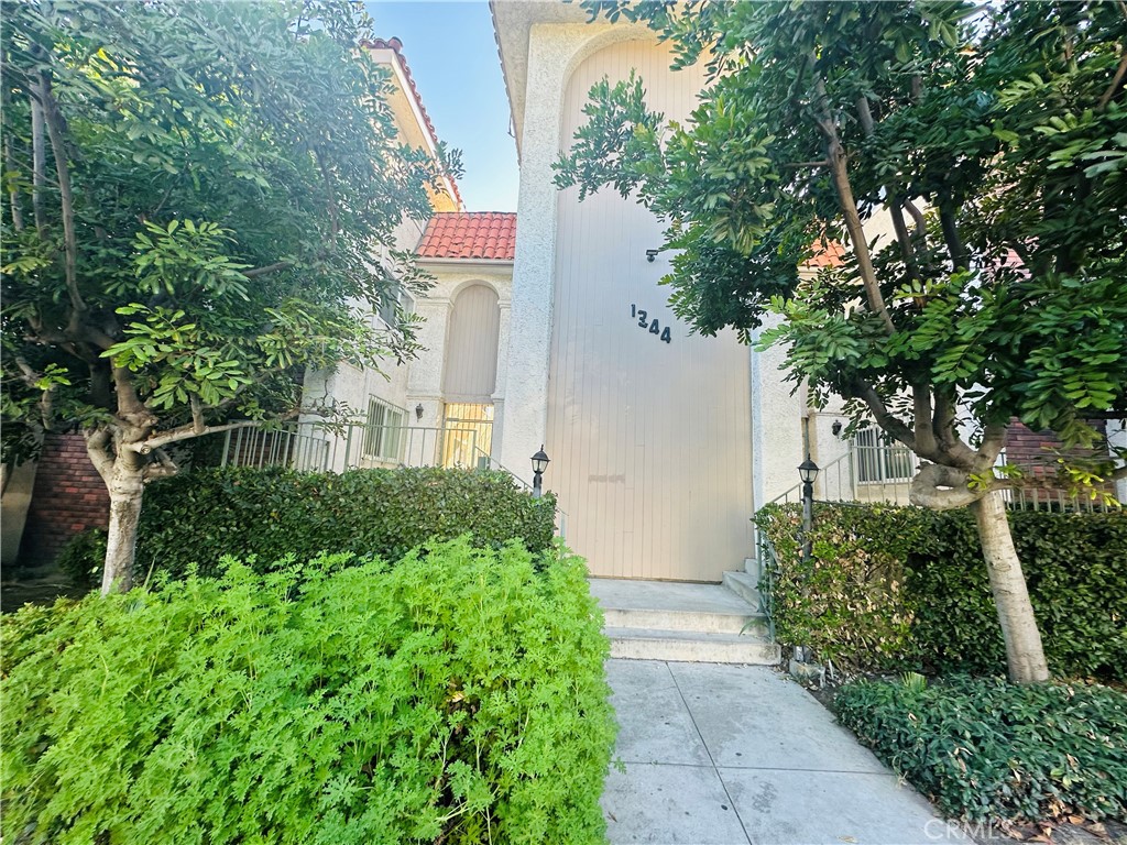 a couple of flower plants in front of house