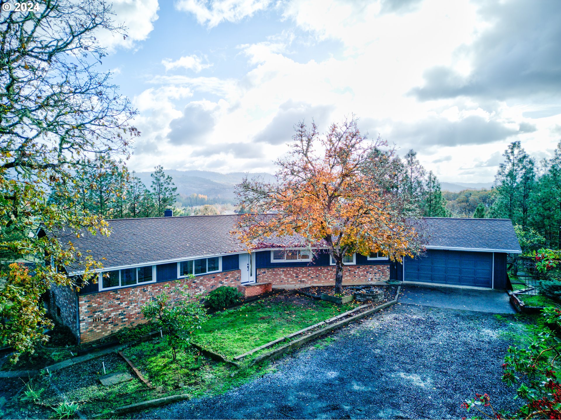 a view of a house with a yard plants and large tree