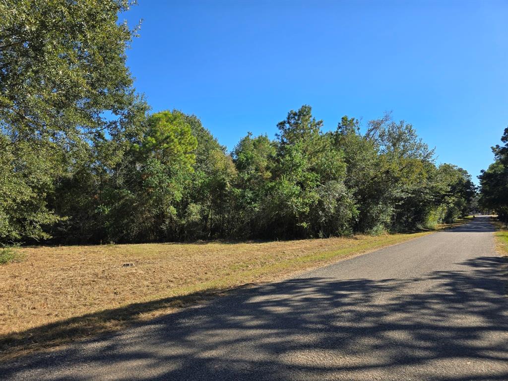 2+/- Acre Homesite in Waller County - with no HOA!