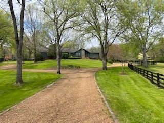 a view of a park with large trees