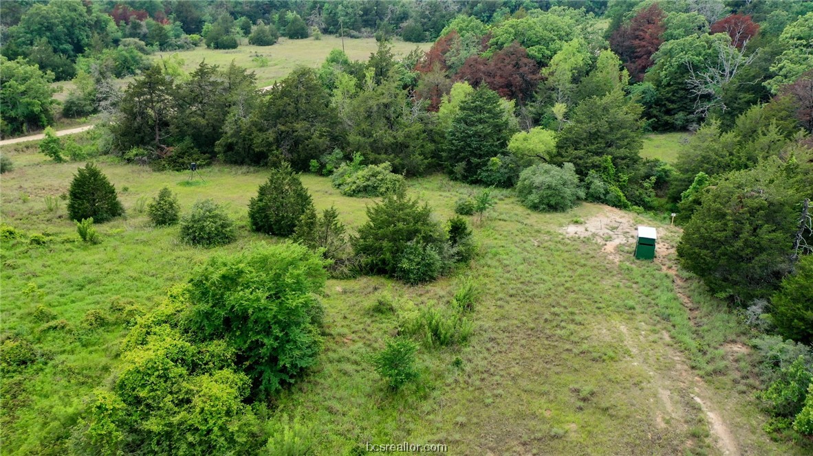 a view of a lush green forest with lots of trees