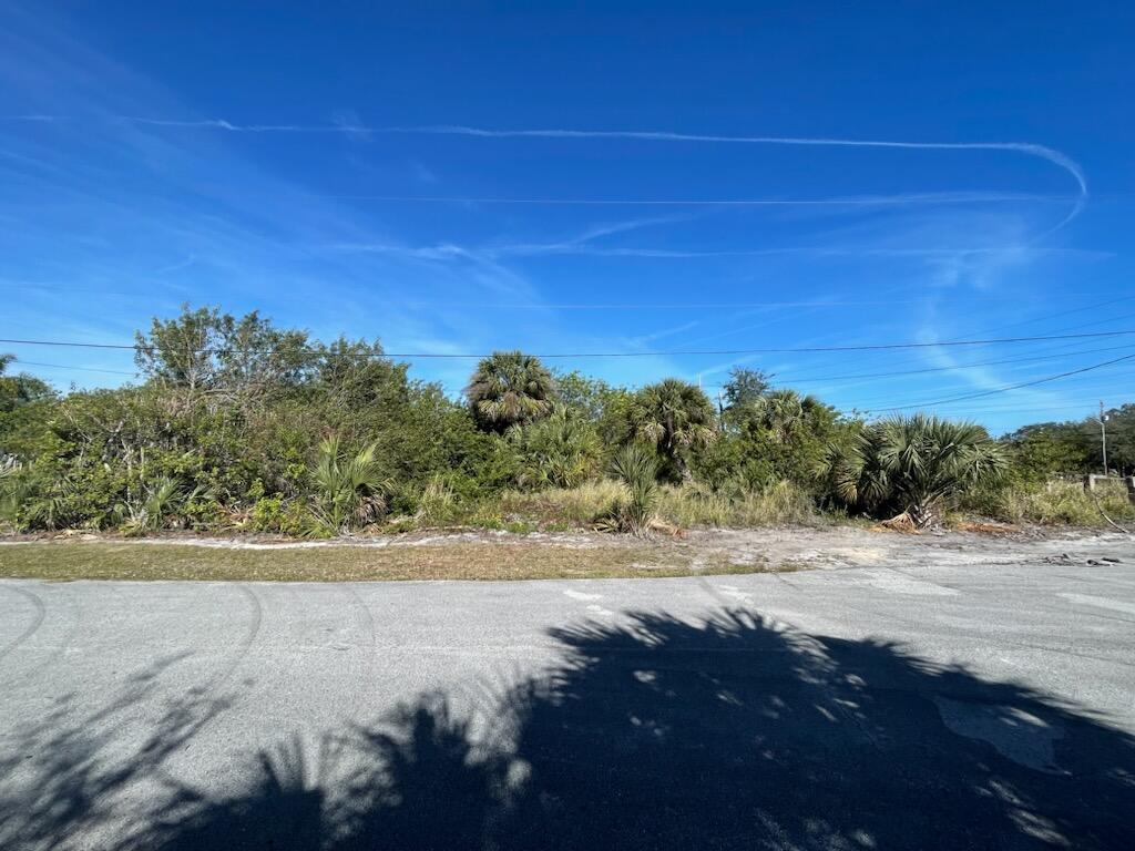 a view of a beach with a yard