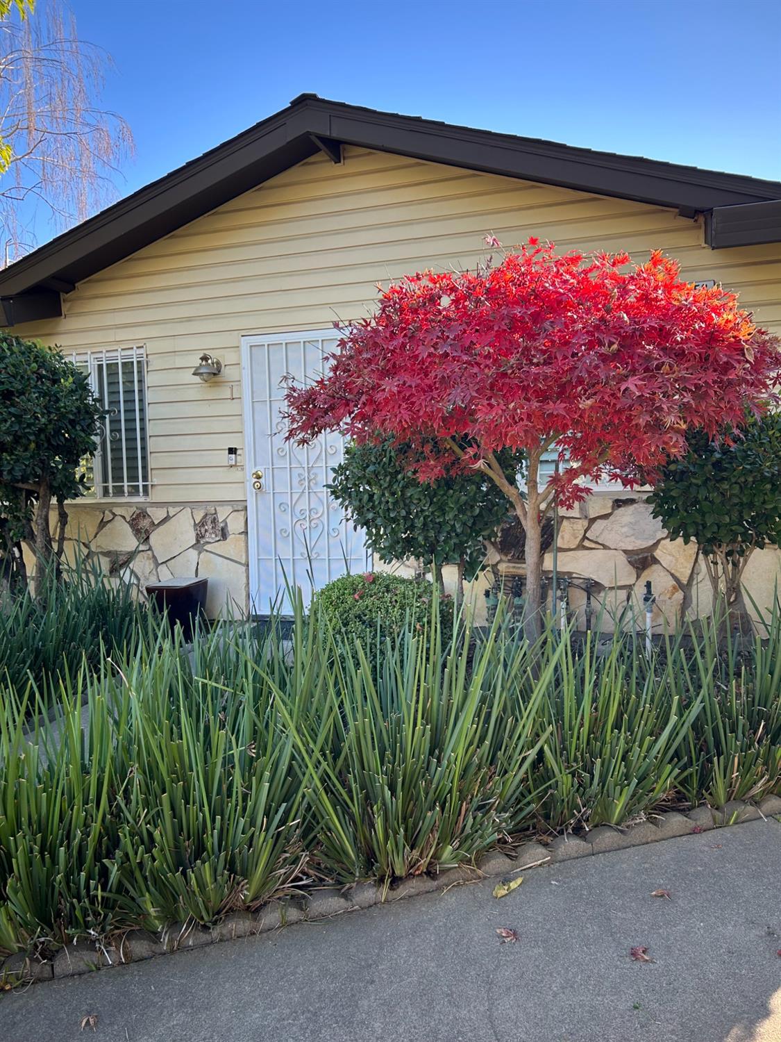 a front view of a house with a big yard