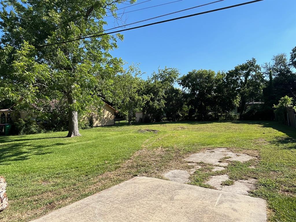 a view of a yard with a tree