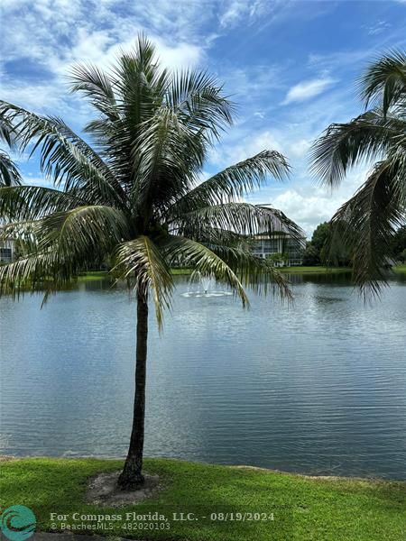 Wow what a view from your balcony!