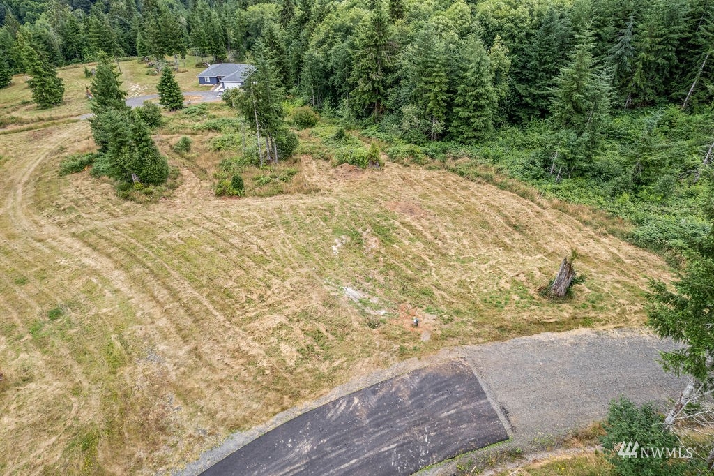 a view of a yard with plants