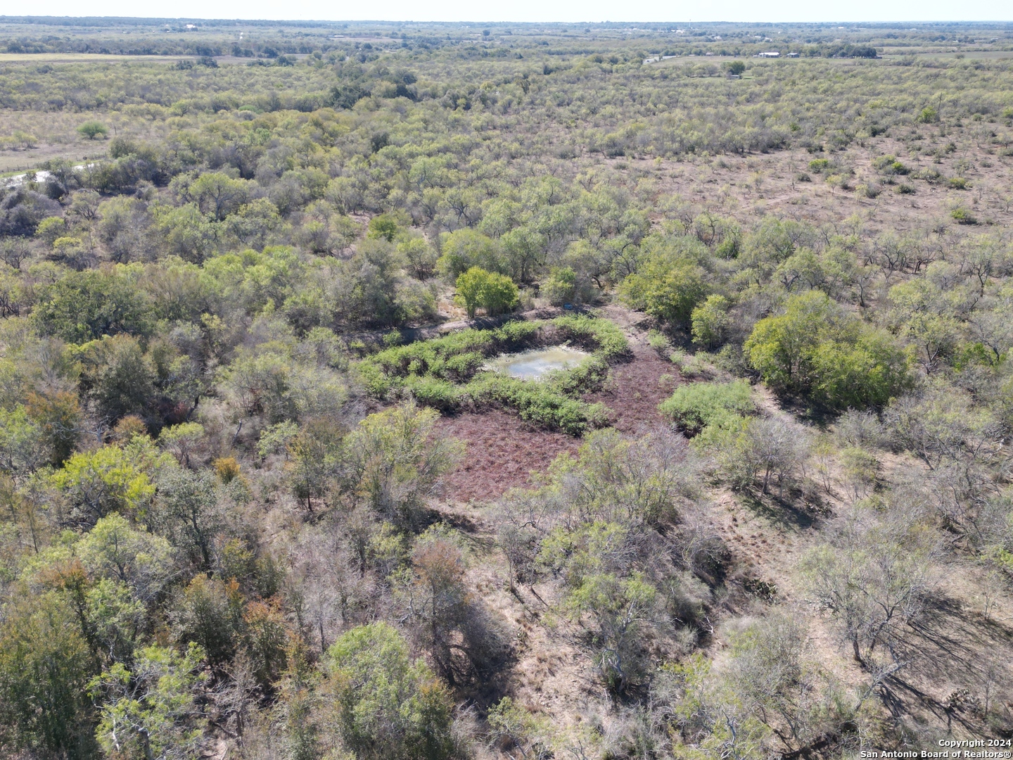 an aerial view of forest