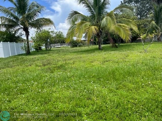 a view of a palm trees in a park