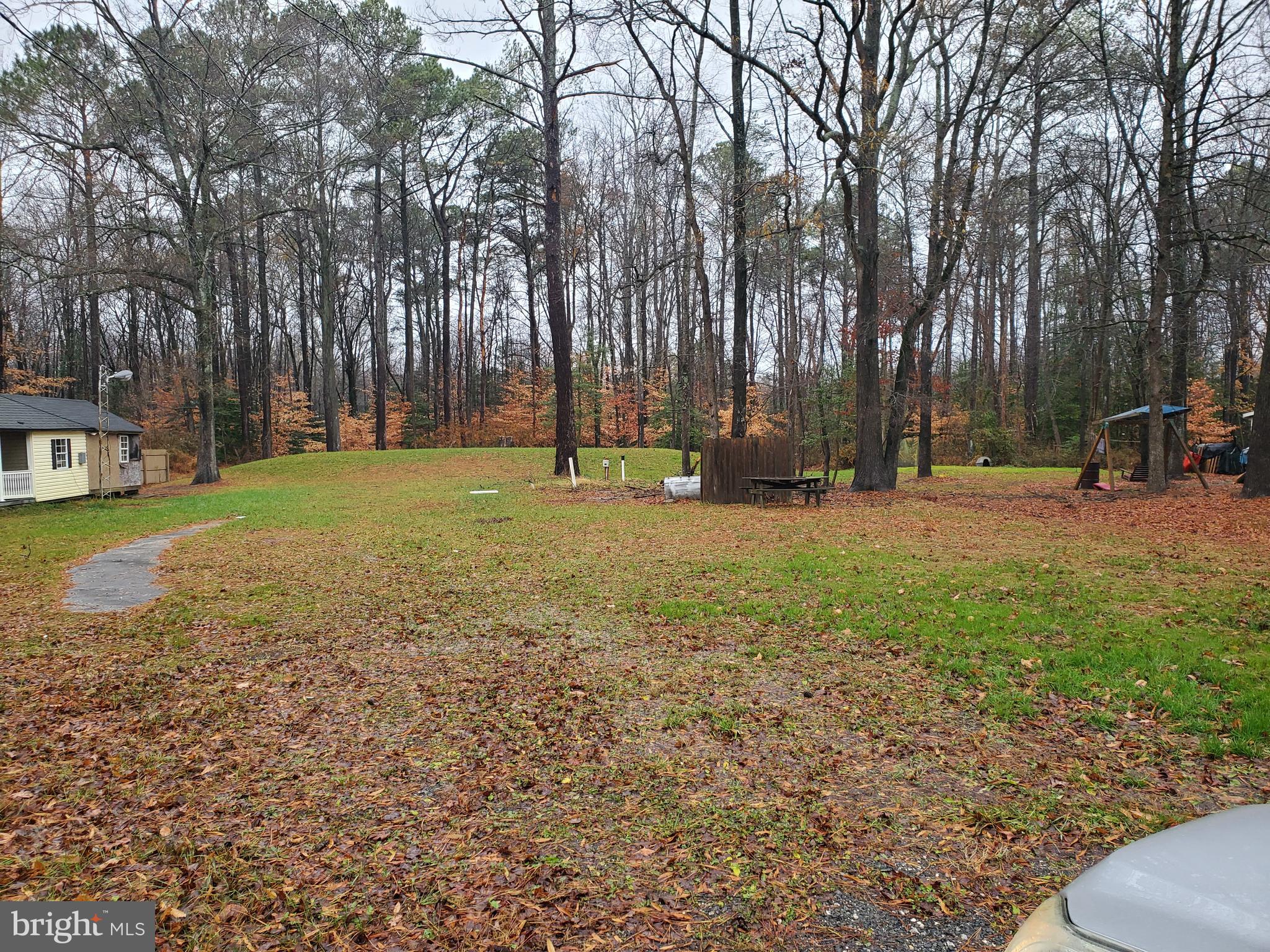 a view of a park with large trees