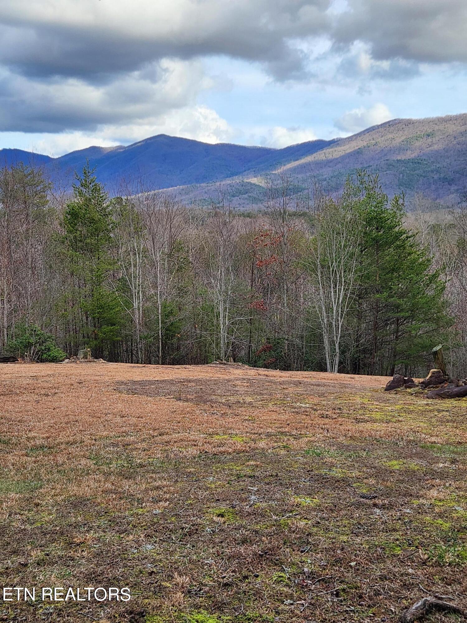 Stagecoach cabin view 3