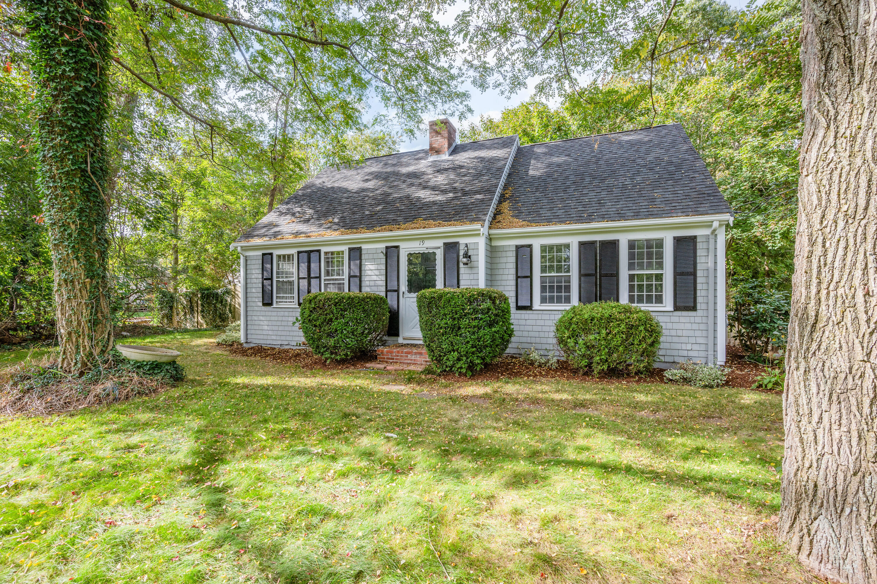 a view of a house with backyard and garden