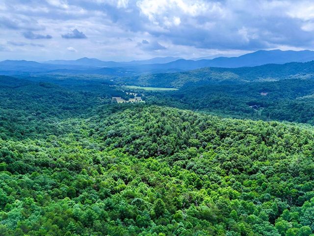 $450,000 | 0 Pine Log Church Road | Brasstown Township - Clay County