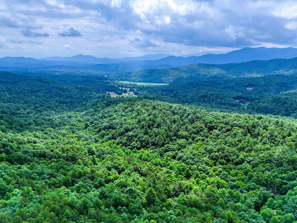 a view of a green field with lots of bushes