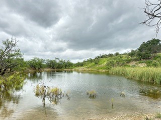 a view of a lake view with houses in back