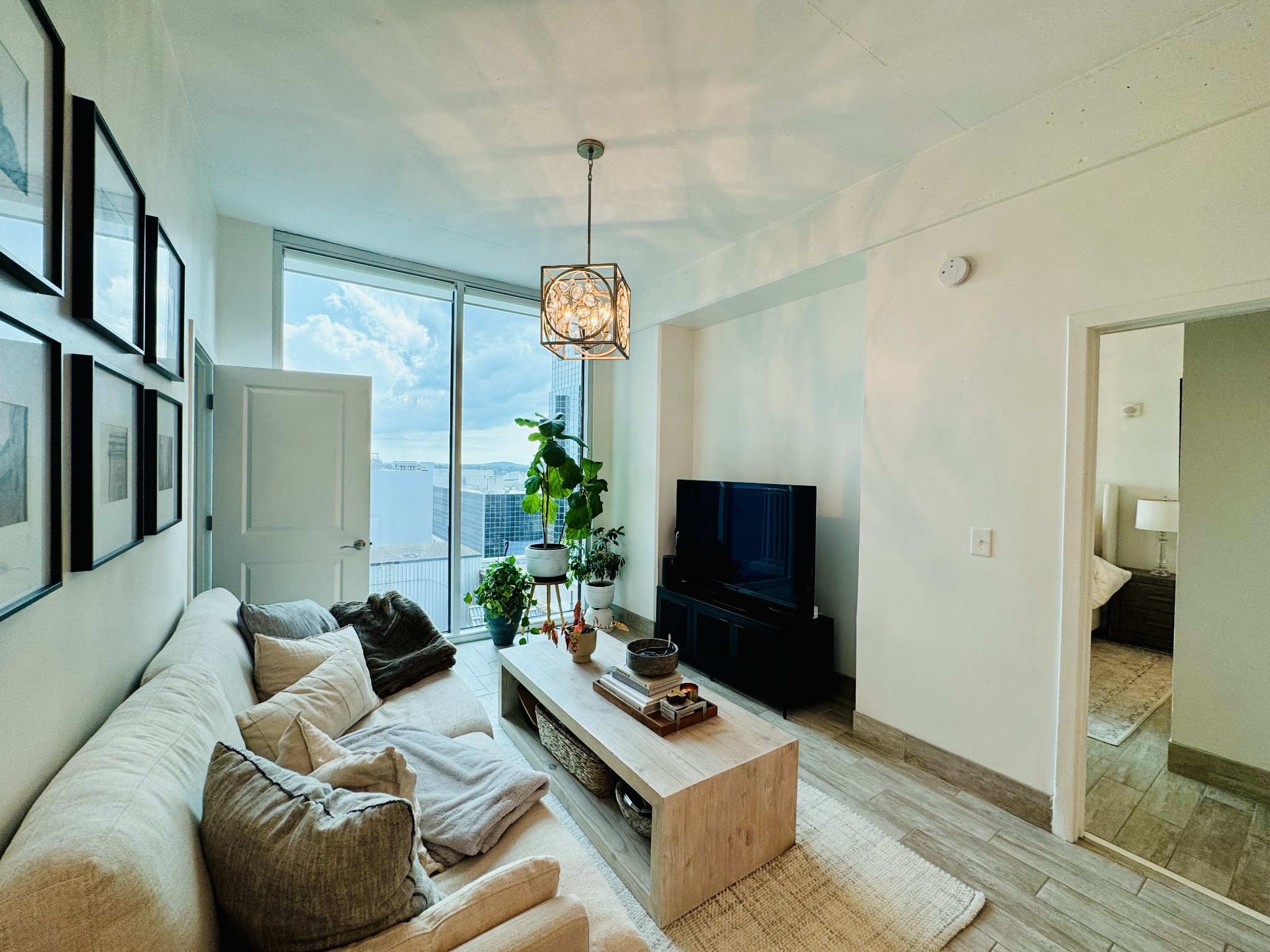 a living room with furniture a flat screen tv and a potted plant